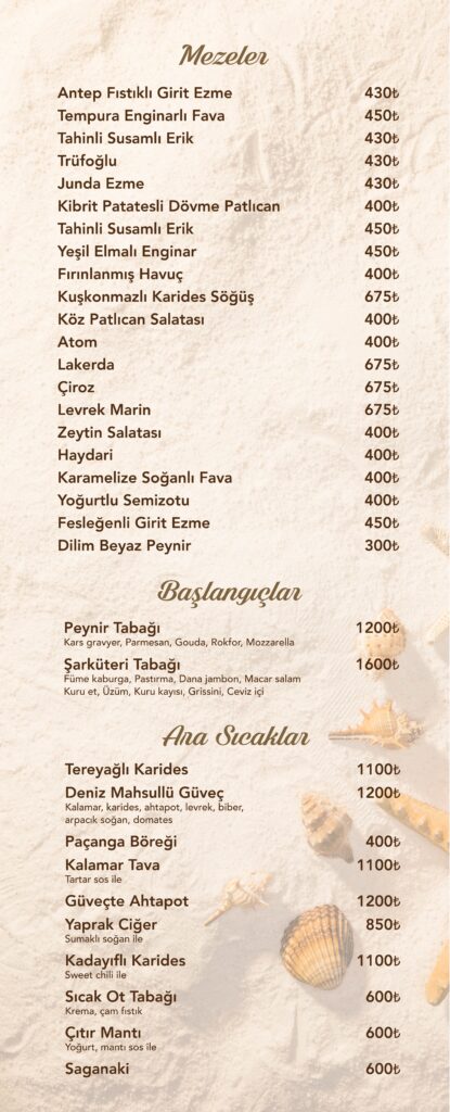 Restoran Menü Türkçe